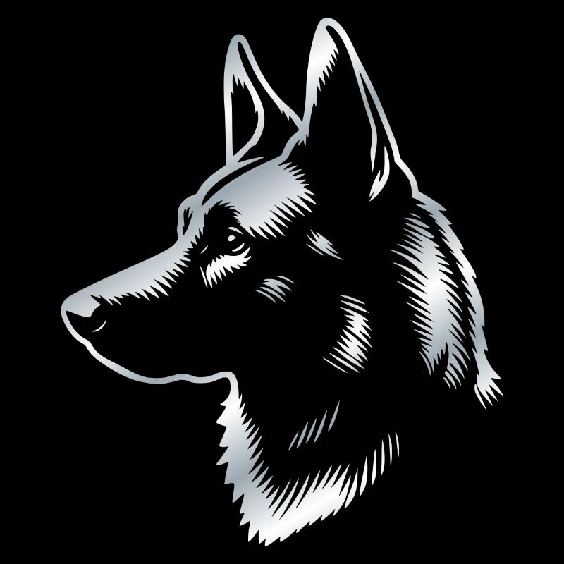 Malinois, tête de chien, dessin argentique