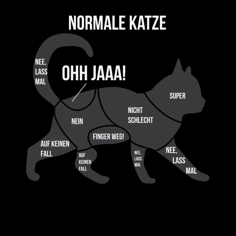 Anatomie drôle d'un cadeau Ragdoll de chat persan