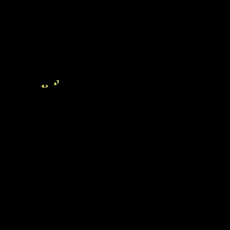 CAT LADY mit schwarzer Katze und gelbe Augen!