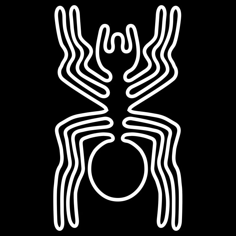 Spider Nazca