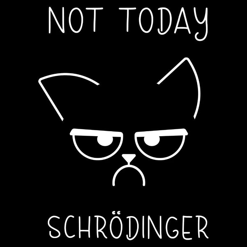 Schrödingers Katze Experiment Katze Physik