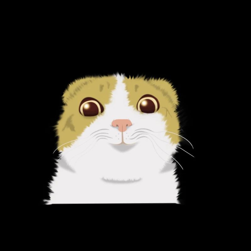 smiling cat meme