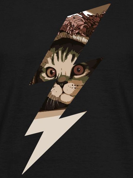 Lightning cat