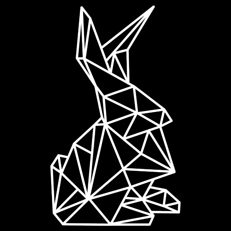Rabbit Geometry Lines