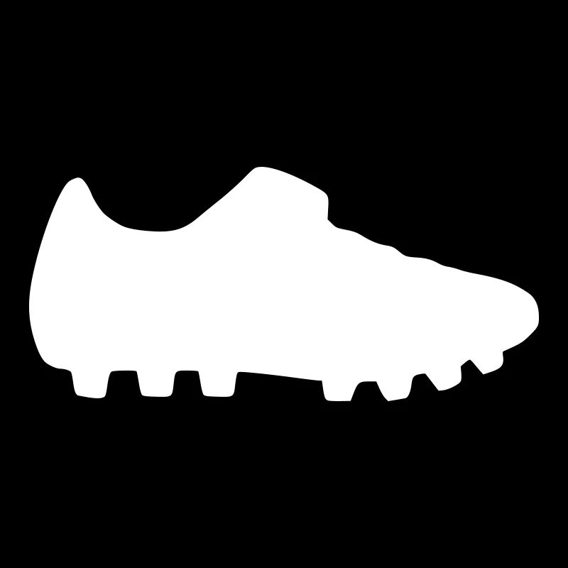 Fußball 2010