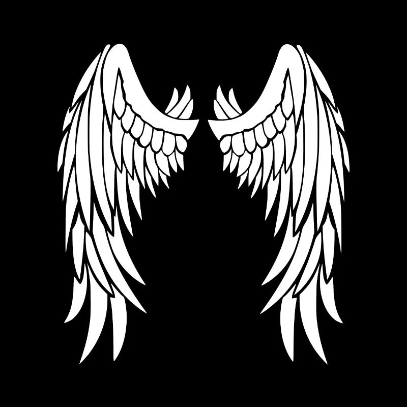 Ailes d’ange blanches sur le dos