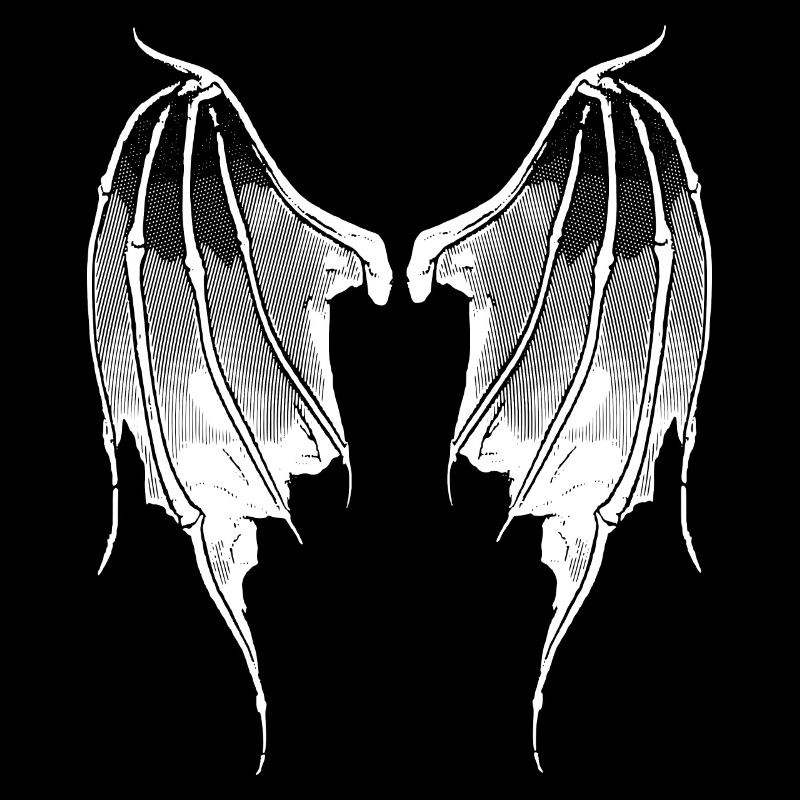 2reborn Devilwings Devil Wings Devil Demon