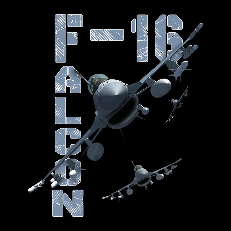 F16 FALCON - 2012