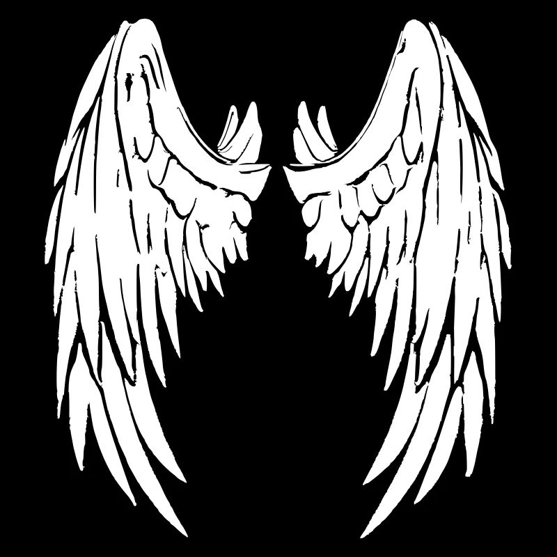 Engel Teufel Fluegel Angel Devil Wings 2reborn