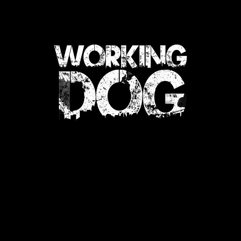SPLASH CHIEN DE TRAVAIL