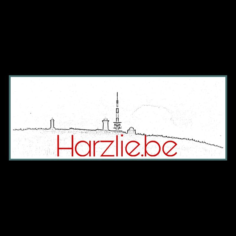 Harzlie.be Brocken Panorama