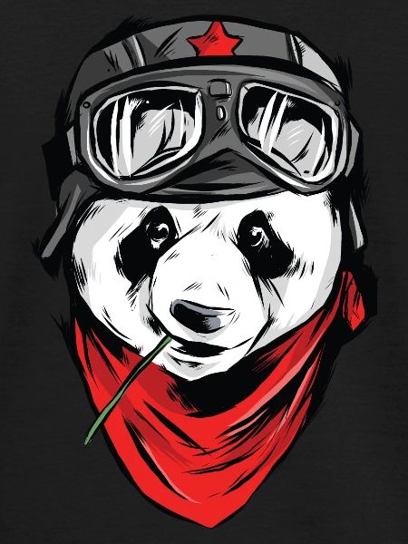 Panda pilot