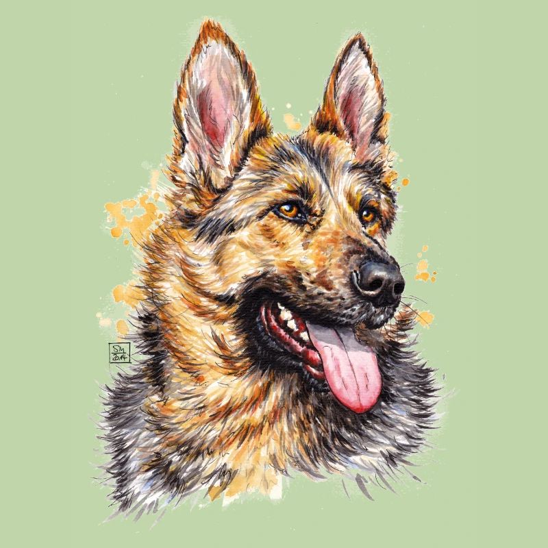 Schäferhund | german shepherd dog