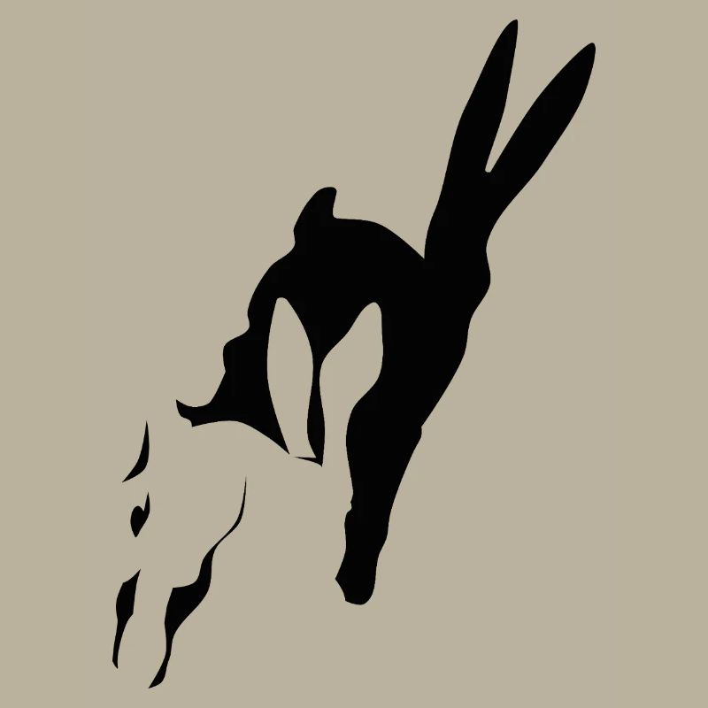 Bunny runs shadow bunny Easter bunny rabbit hop