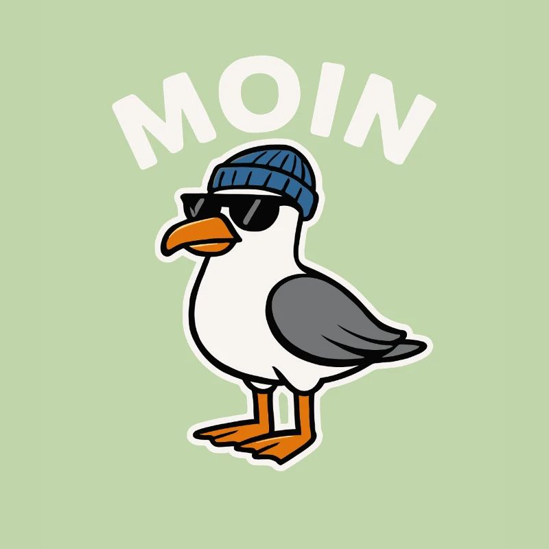 Moin Seagull