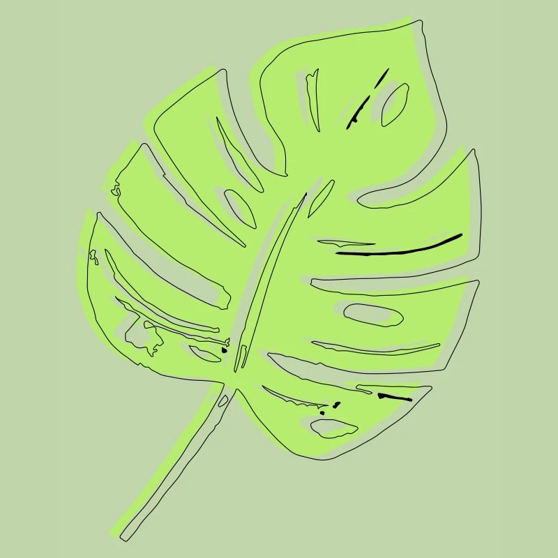 Monstera leaf