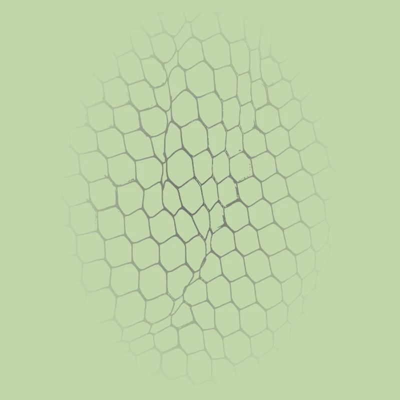 Coarse net, vignette