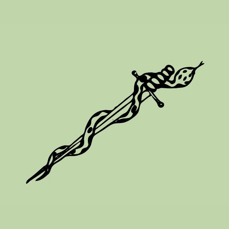Serpent enroulé autour d'une épée