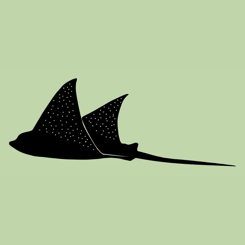 Eagle rays in flight mode