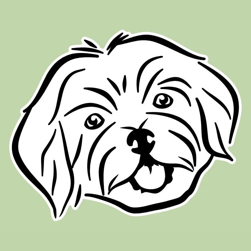 Havanese