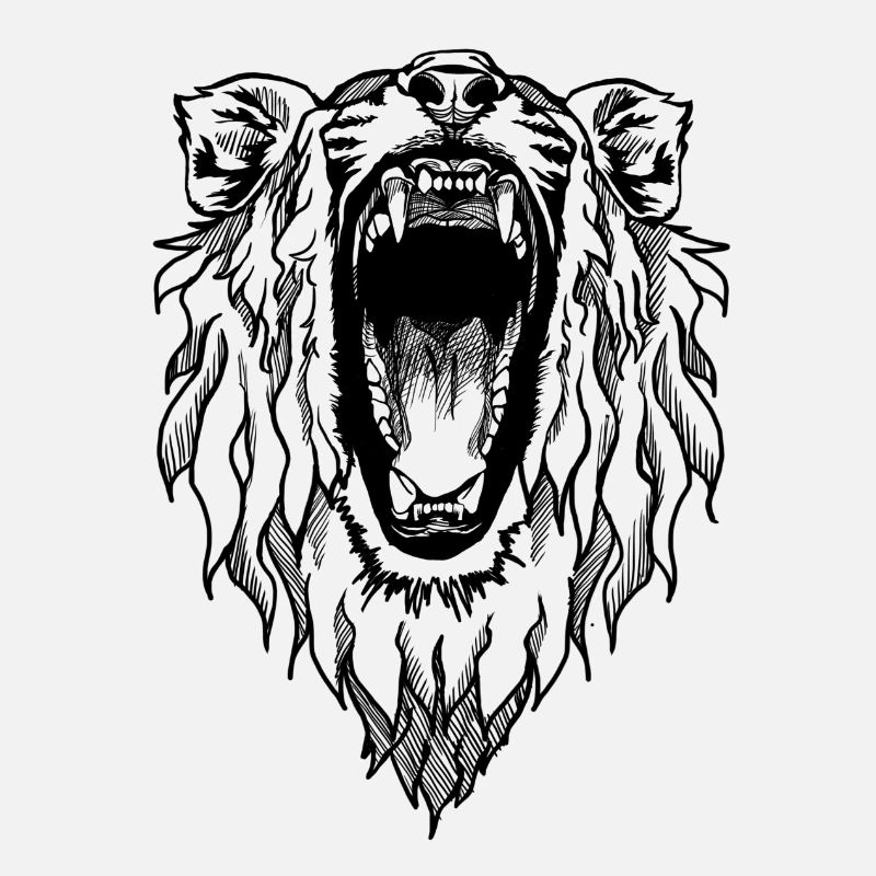 Hear me Roar