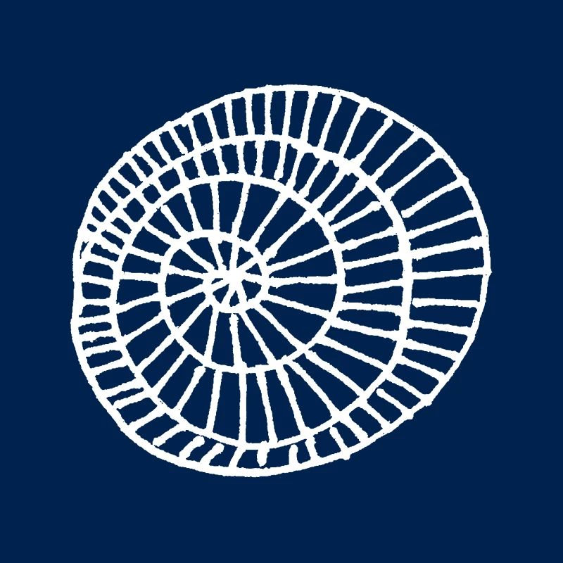 minimal Schnecke