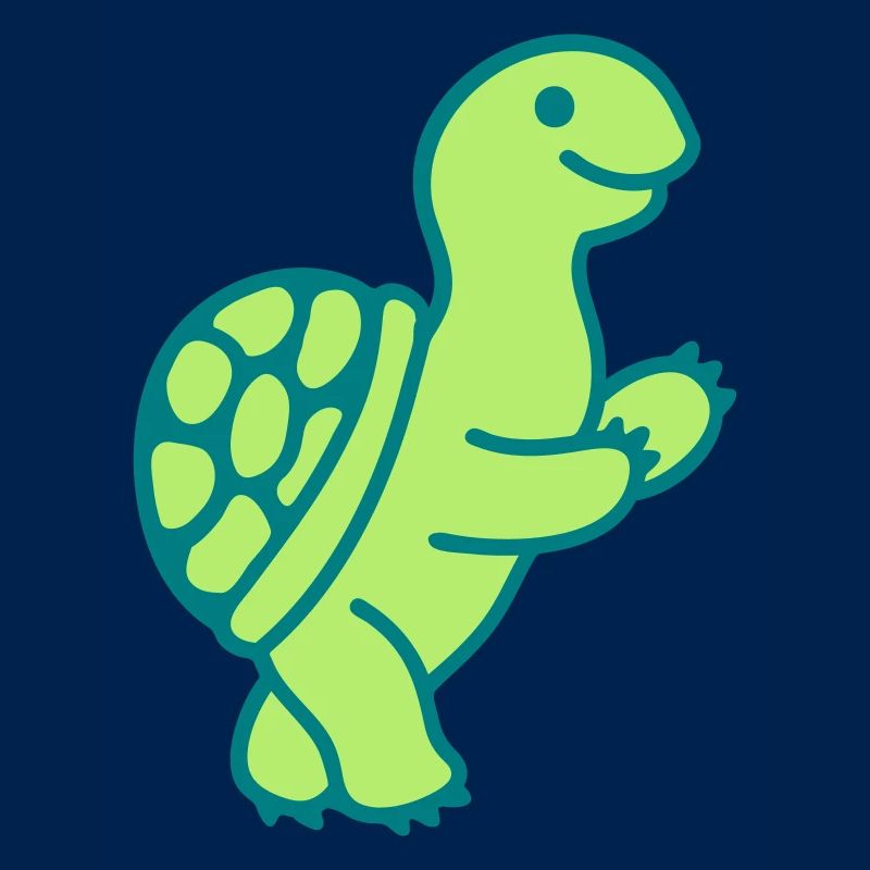 Turtle 2