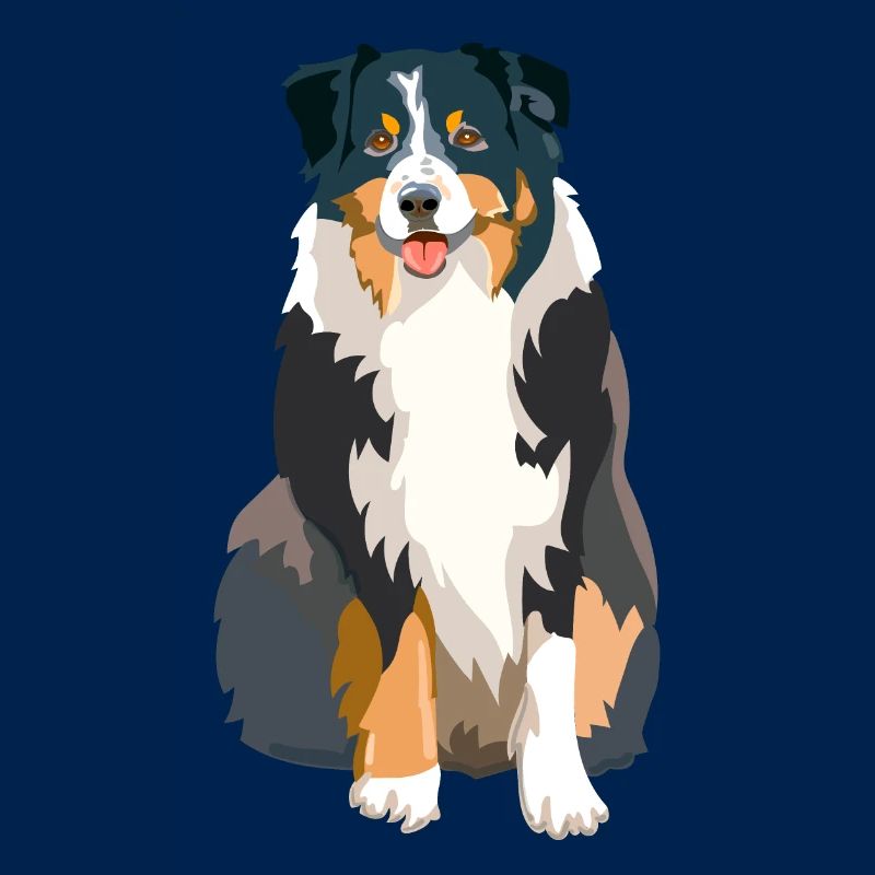 Australischer Schäferhund