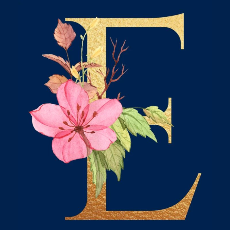Letter E