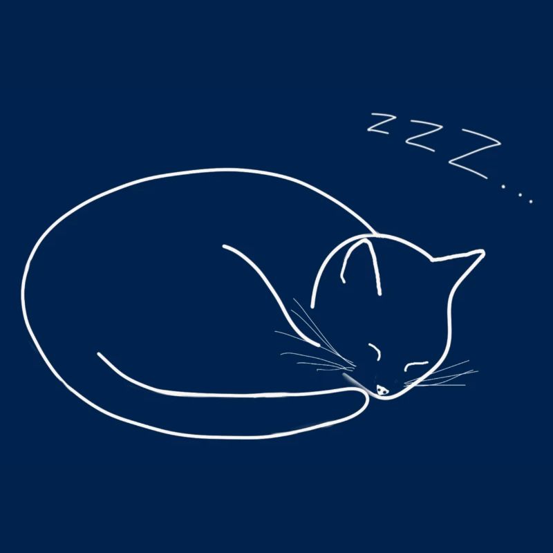 Sleeping cat