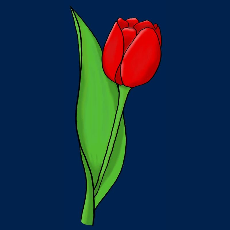 Tulipe rouge