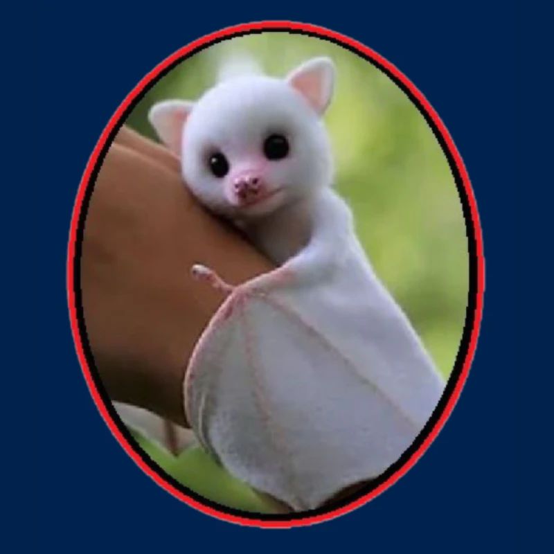 White mouse bat
