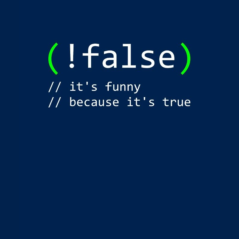 Programmer Humor false true funny Nerd Geek