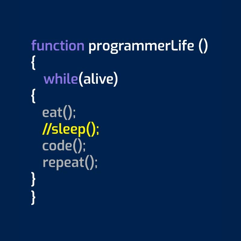 Programmeur informatique Codeurs Software Engineers Gift