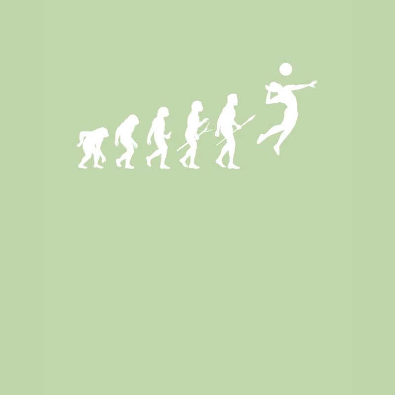 Evolution Volley-