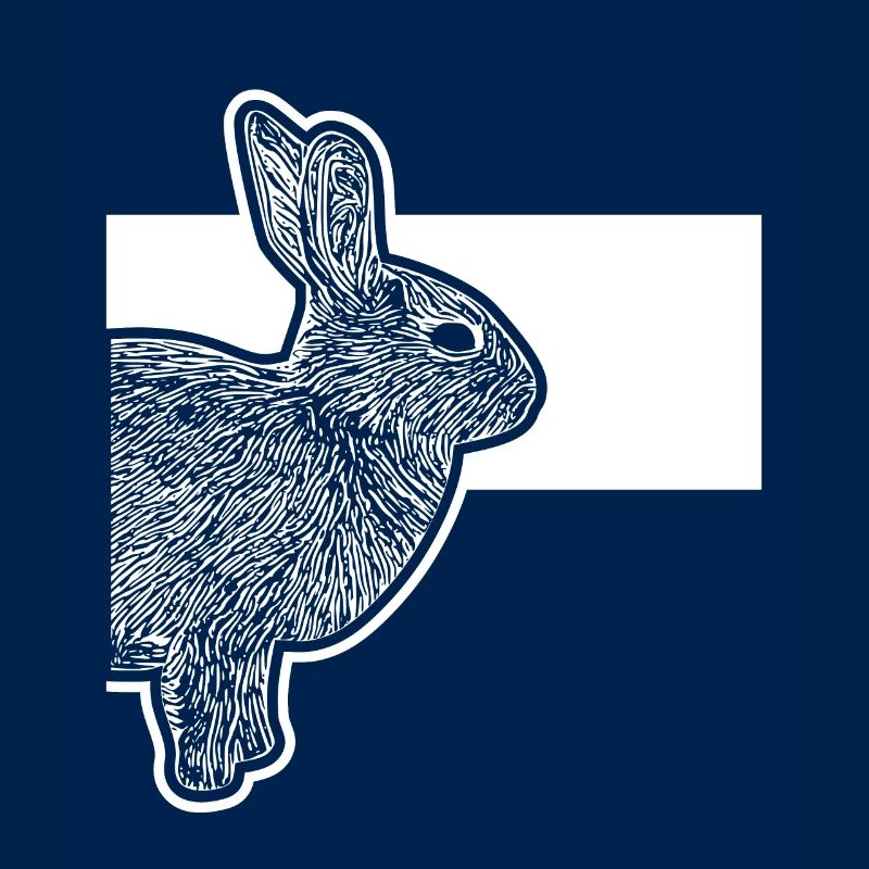 Cute Dwarf Rabbit Rabbit Breeder