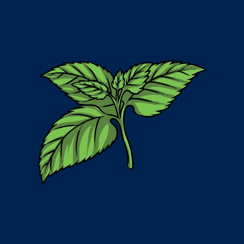 Mint Mint leaf