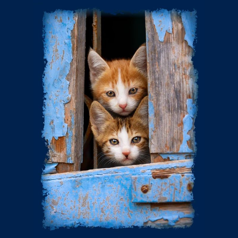 Curious kittens looking out a blue window