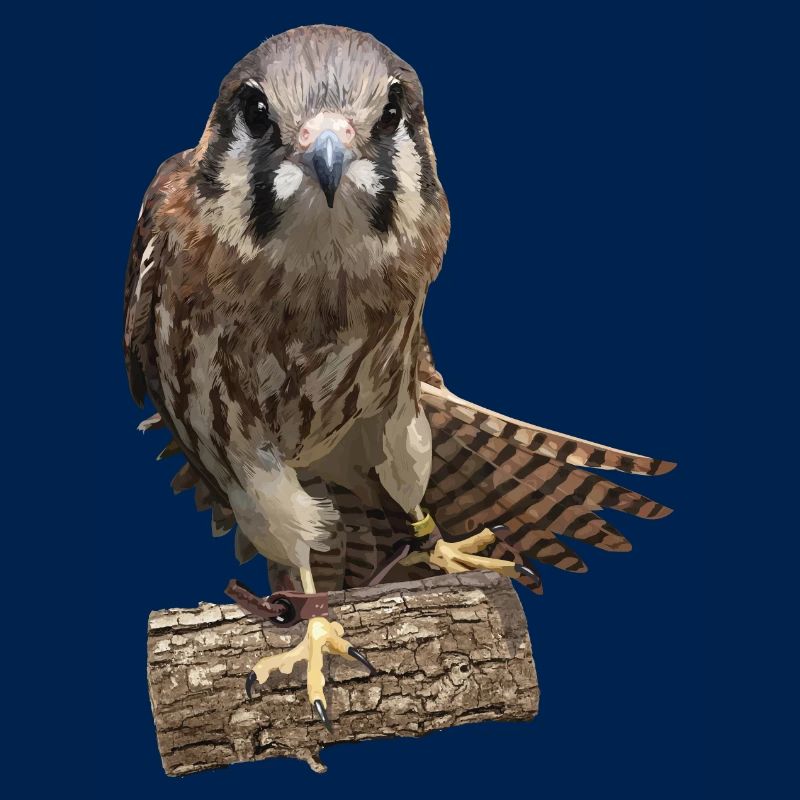 Kestrel