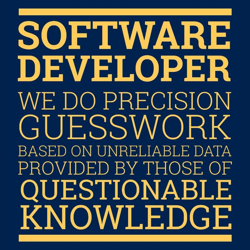 "Software Developer" | Programmierer