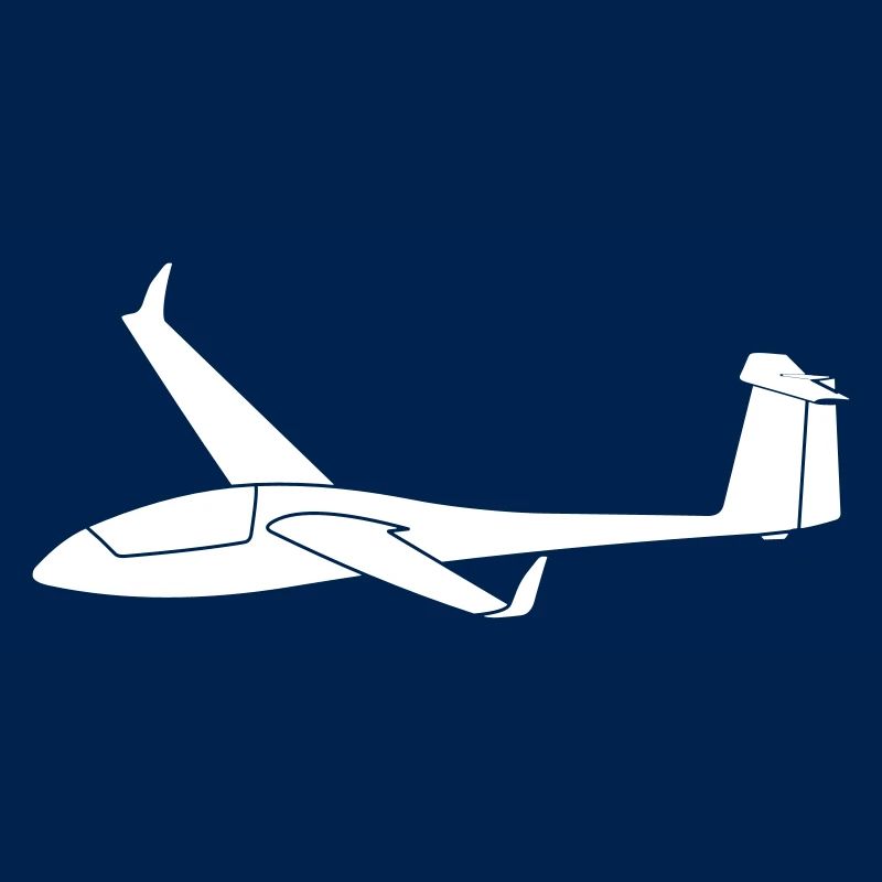 std cirrus with winglets