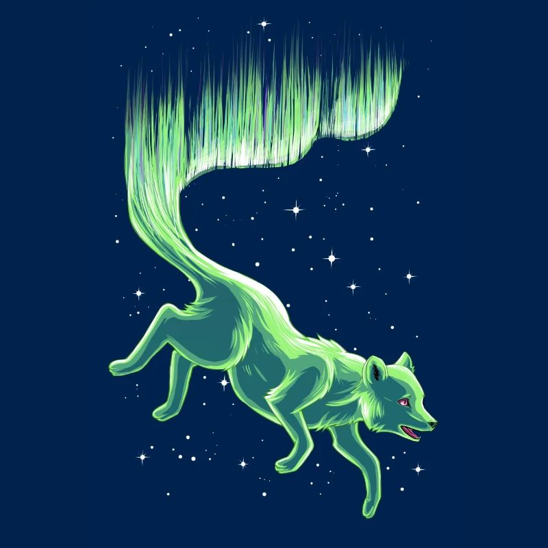 Arctic fox fox aurora