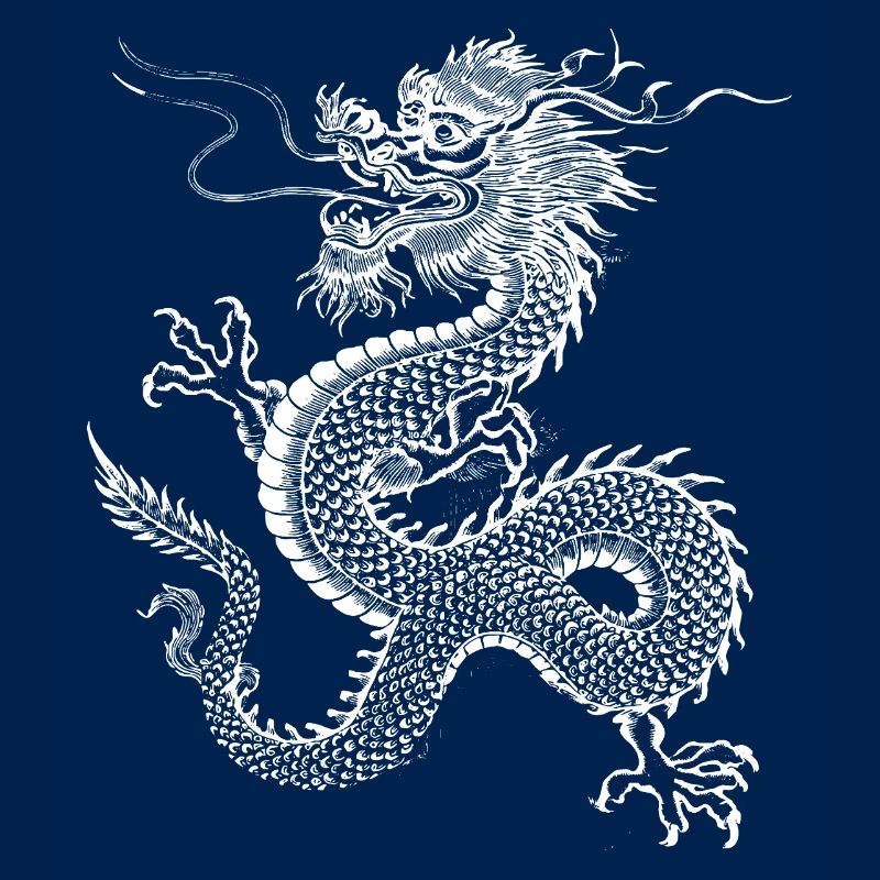 Conception du dragon chinois