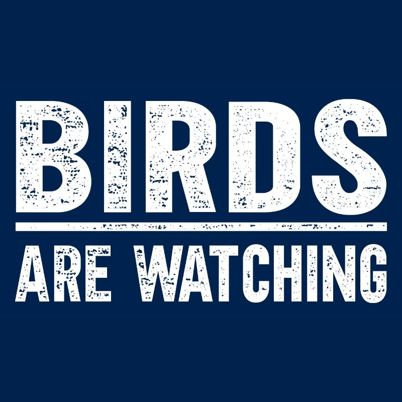 Les oiseaux observent