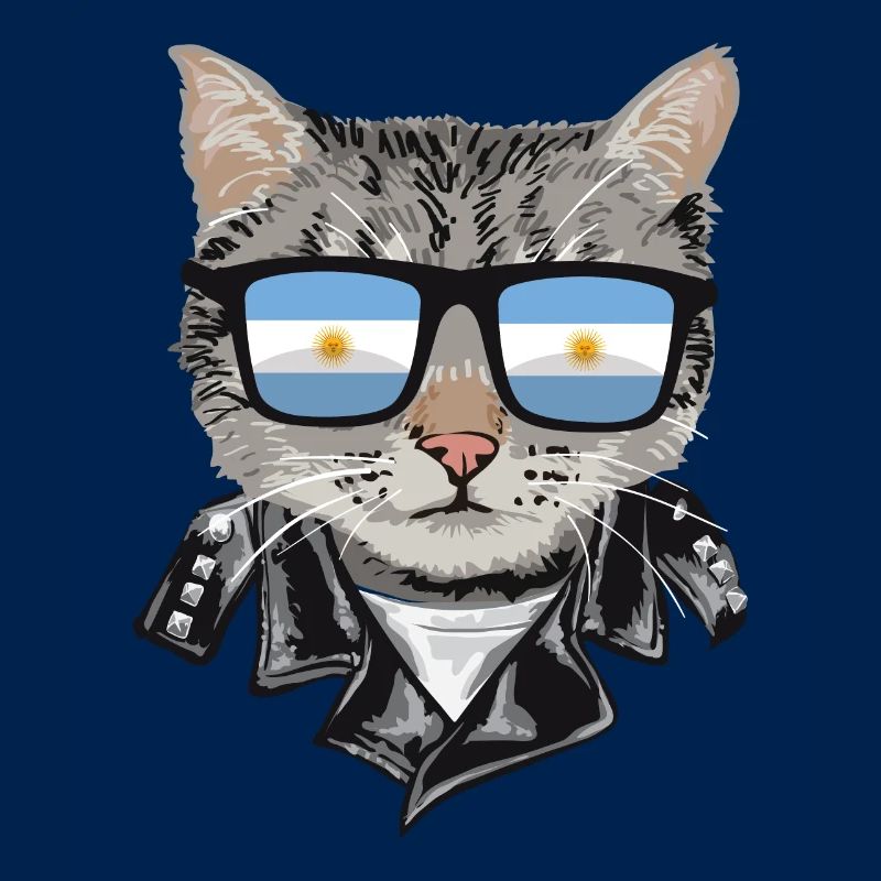 Lunettes de soleil pour chat avec drapeau argentin