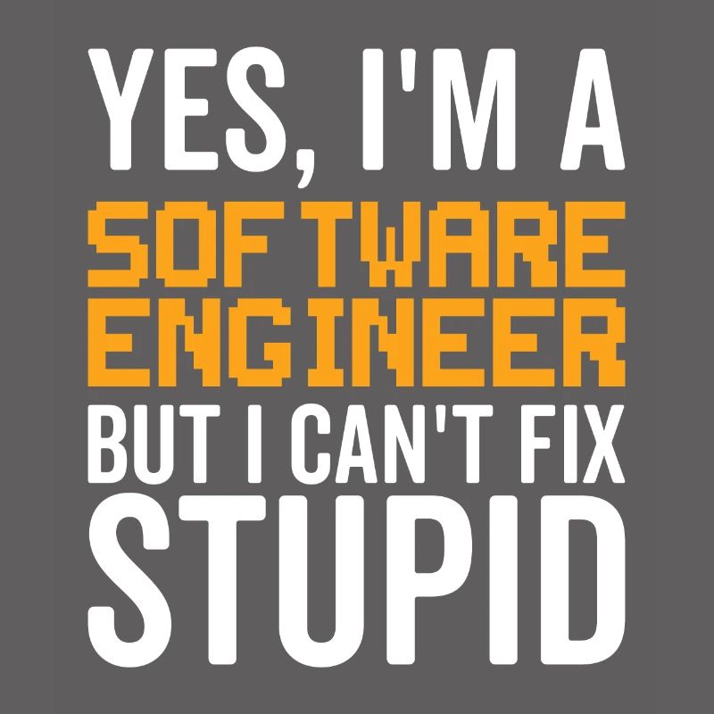 Stupid Software Engineer