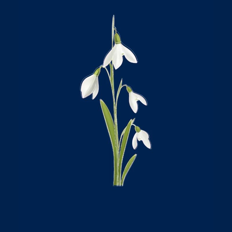 Snowdrop