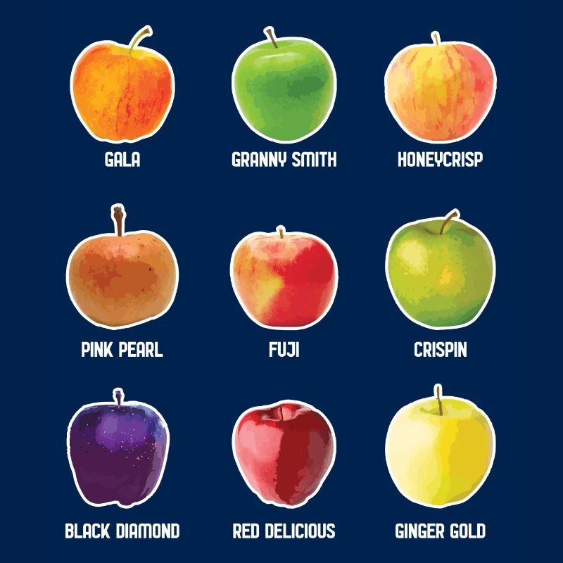Apple Varieties Different Apples Fruit Apple