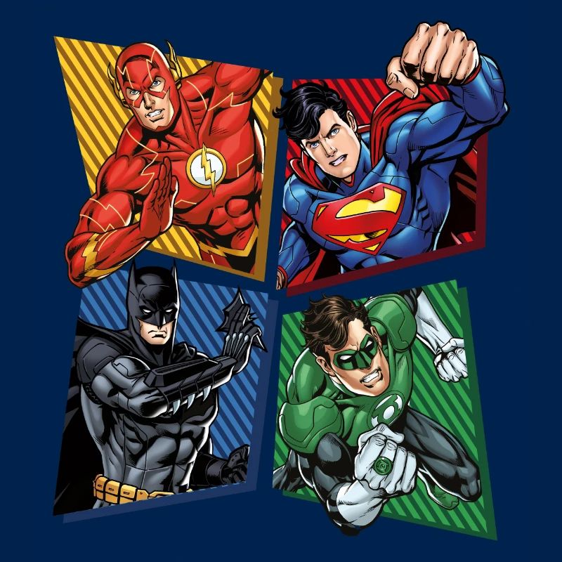 DC Comics Justice League Superheroes Group