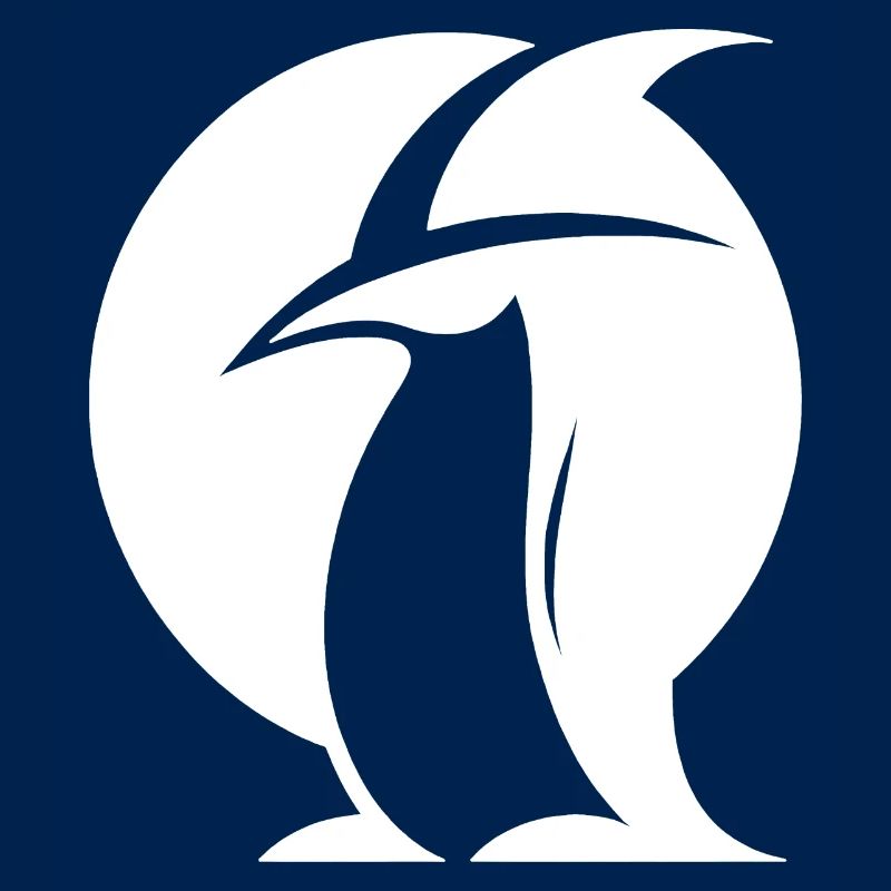 Penguin Witch Hat Silhouette Magical Creatures